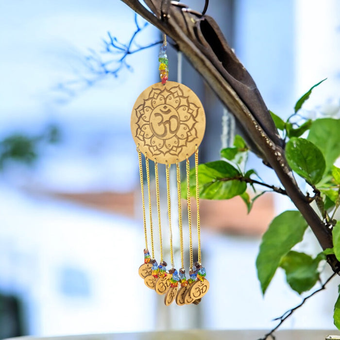 Deny shui Om con 7 chakra Pietri