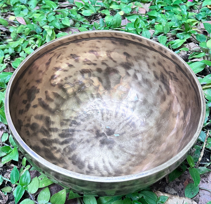 Campana tibetana nota mi#3 160hz