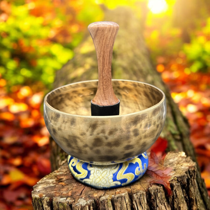 Campana tibetana thado do#4 284hz
