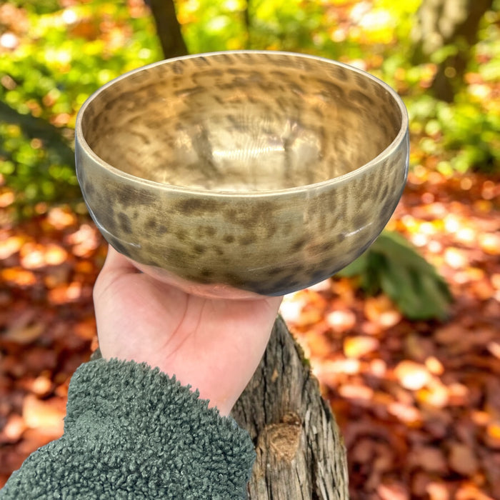 Campana tibetana thado do#4 284hz