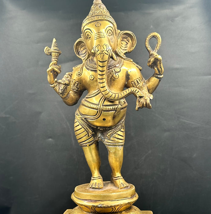 Ganesh a piedi