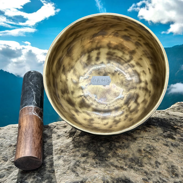 Campana thado la#3 443hz