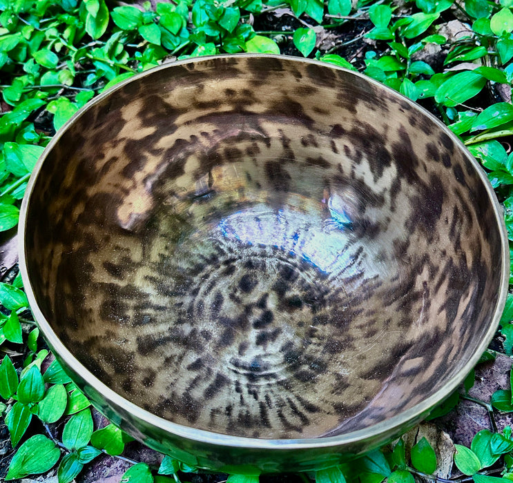 Campana tibetana nota Do#3 134hz