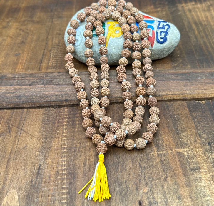 mala semi di Rudra