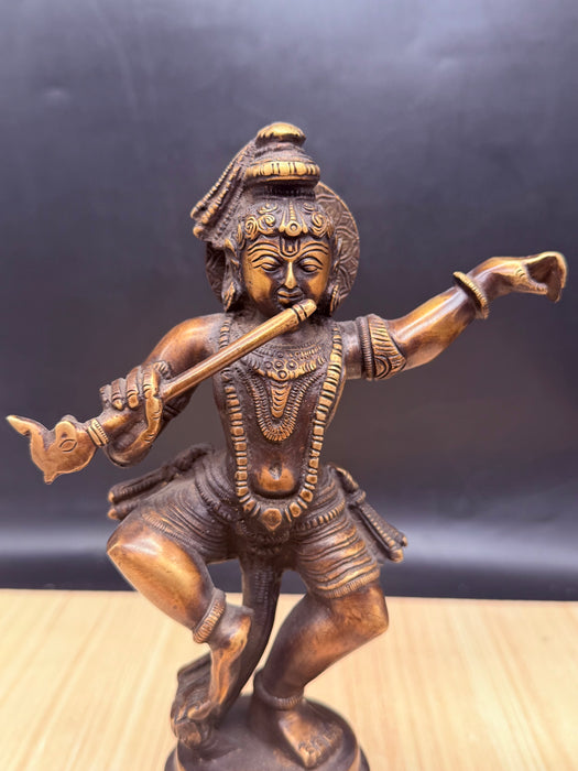 Nritya Krishna