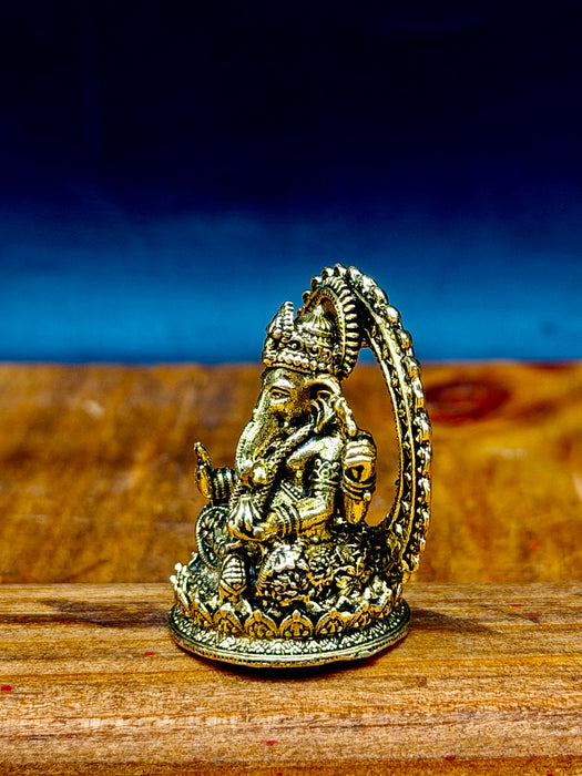 Mini Ganesh