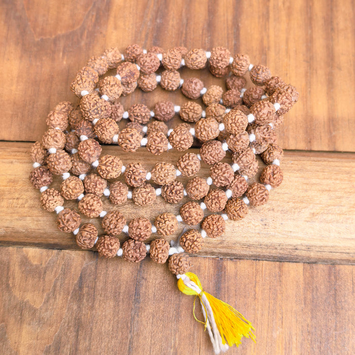 Mala in Rudraksha