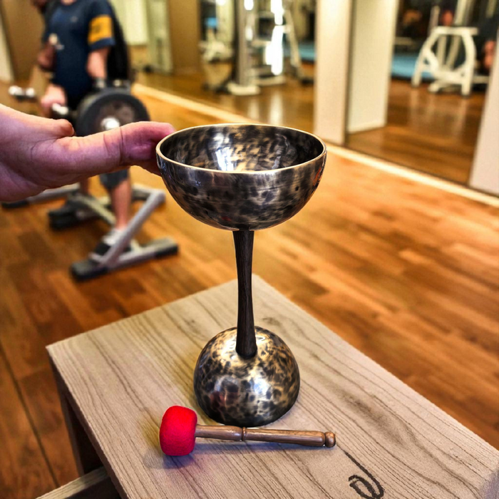 Harmonic Double Tibetan Singing Bowls