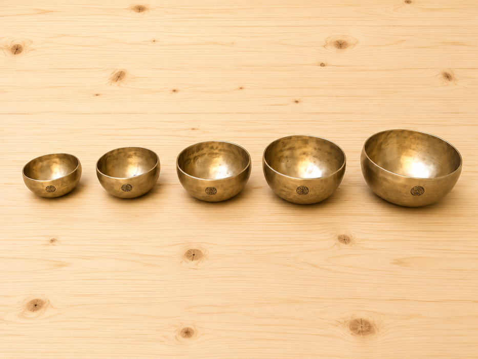 Campane Luna Piena dei Cinque Buddha della Saggezza-Kit Professionale di 5 chakra Tibetani