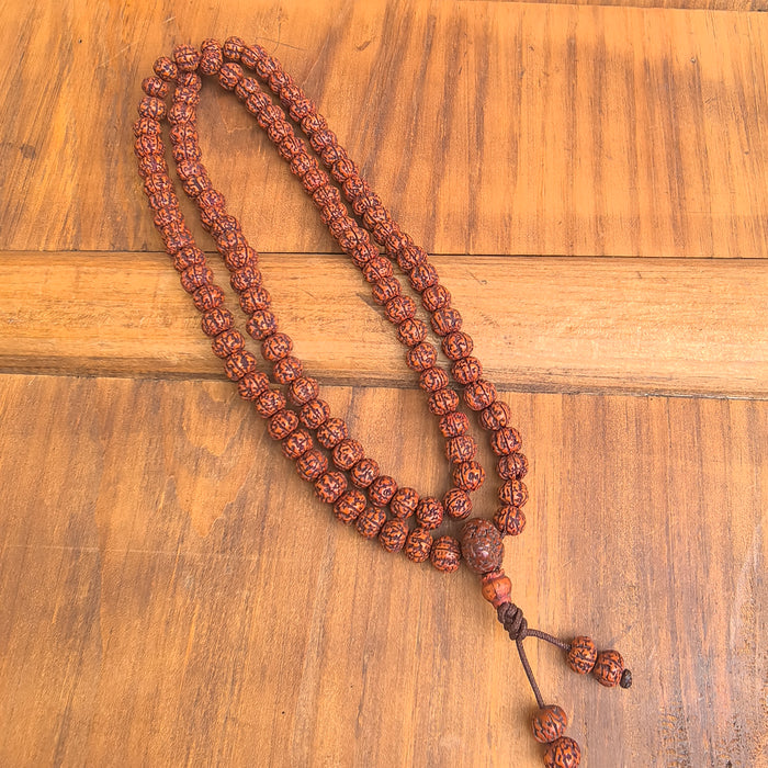 Mala in Rudraksha