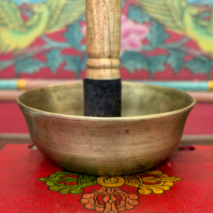 Campana Manipuri newari