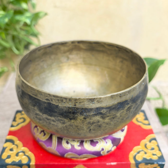 Campana Tibetana Antica coprepati