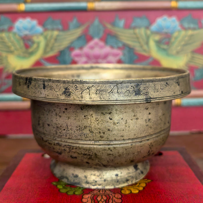 Campana Naga