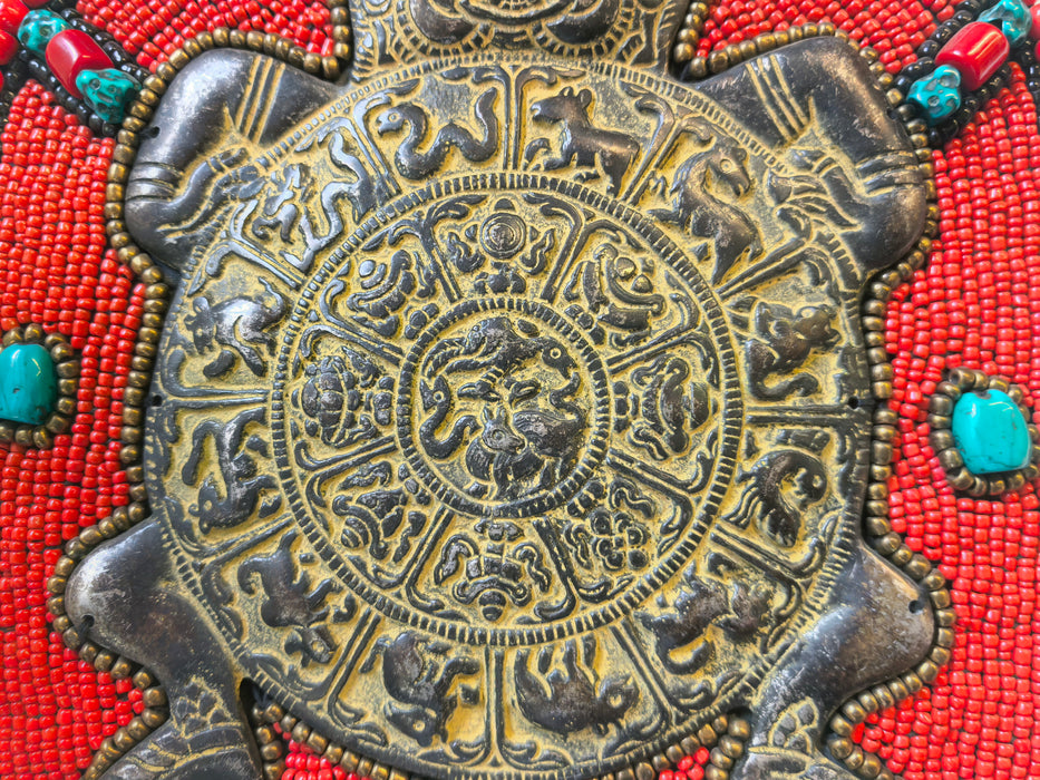 Tartaruga con Astologia