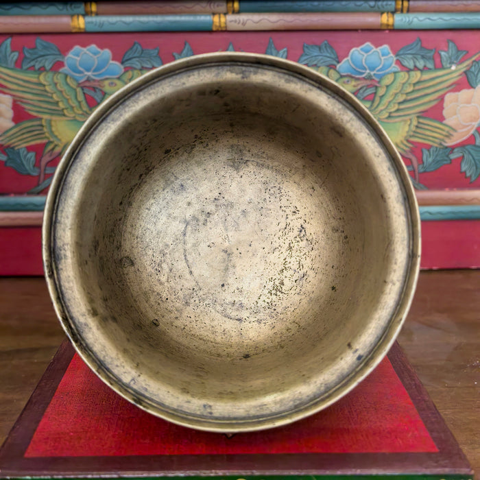 Campana Naga