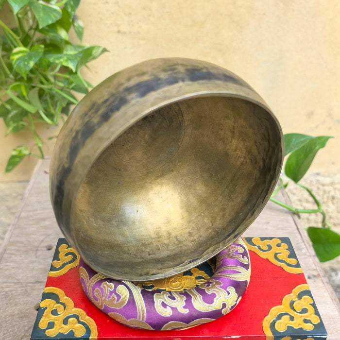Campana Tibetana Antica coprepati