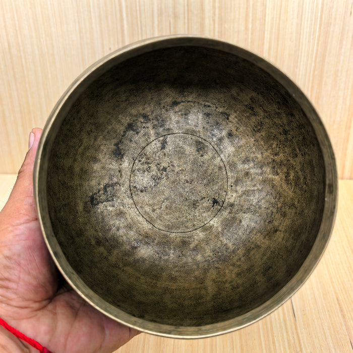 Campana Lungse Drilpu