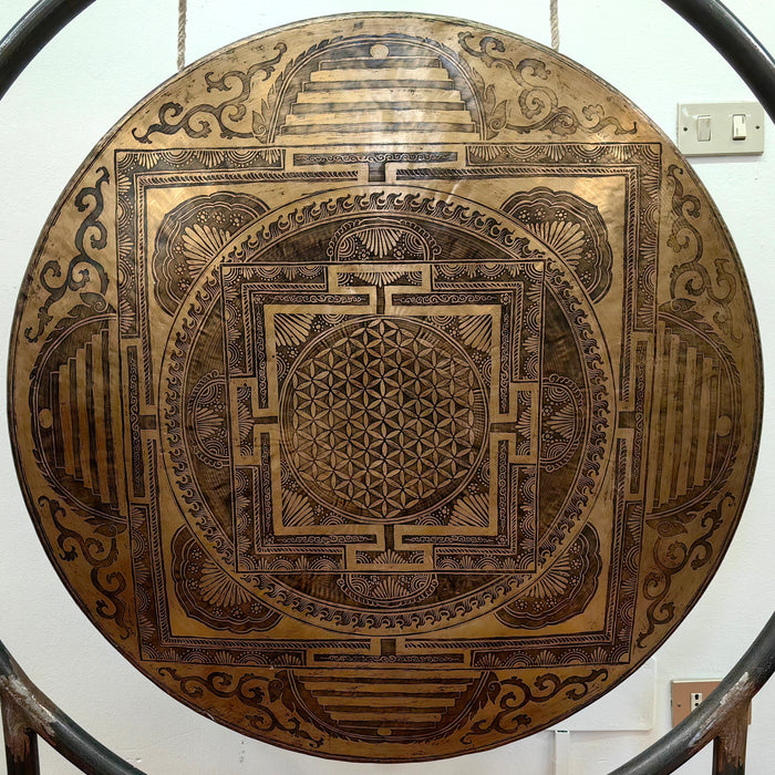Gong fiori del vita