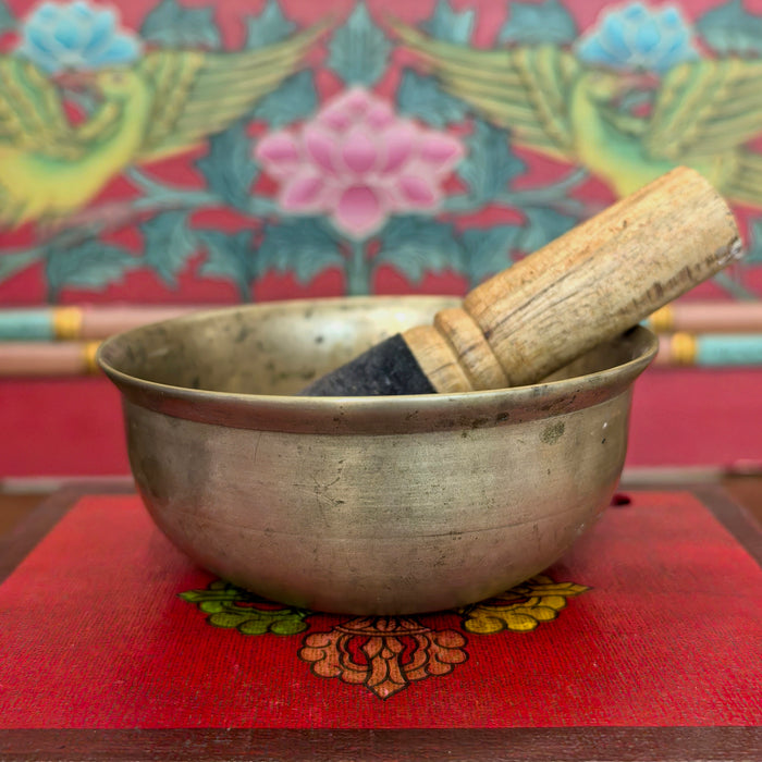 Campana Manipuri newari