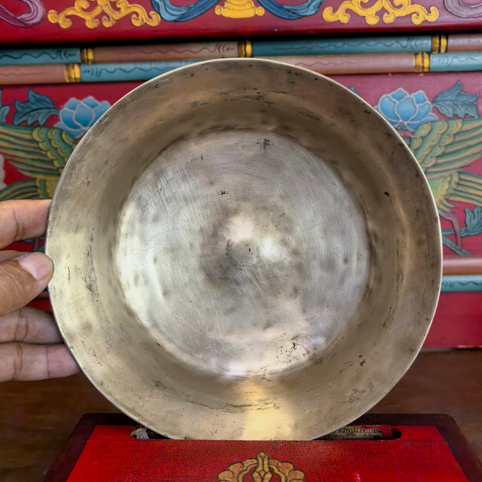 Campana Manipuri Lingam