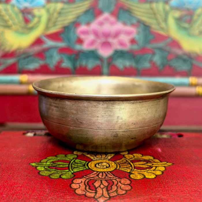 Campana Manipuri newari