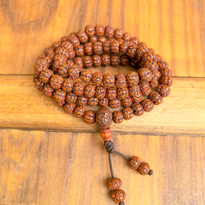 Mala in Rudraksha