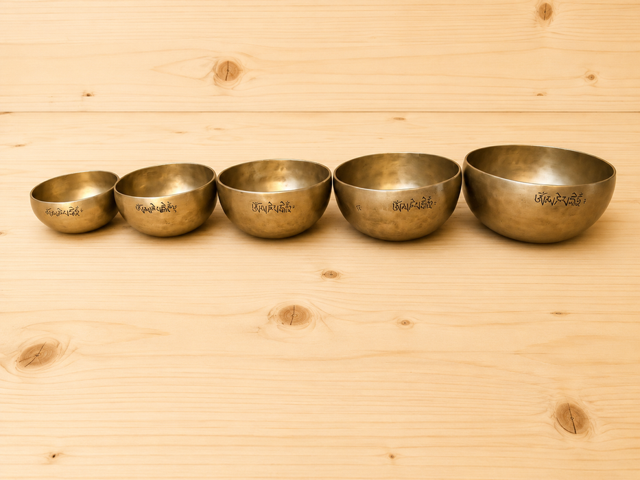 Campane Luna Piena dei Cinque Buddha della Saggezza-Kit Professionale di 5 chakra Tibetani