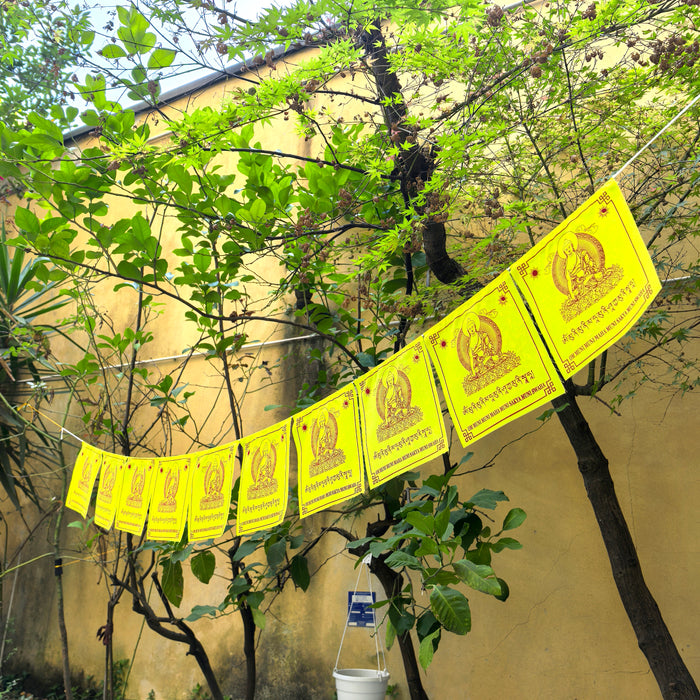 Bandiere di preghiere Buddha