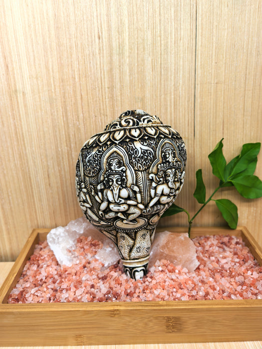 Conchiglia tibetana naturale con cinque Ganesha incisi a mano – 22 cm