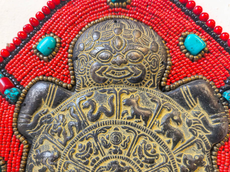 Tartaruga con Astologia