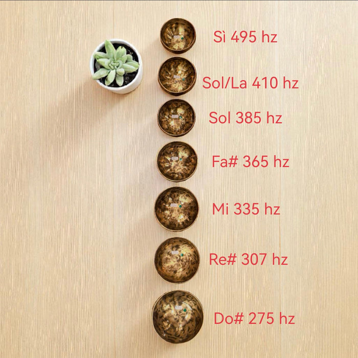 Campana Tibetana 7 chakra set