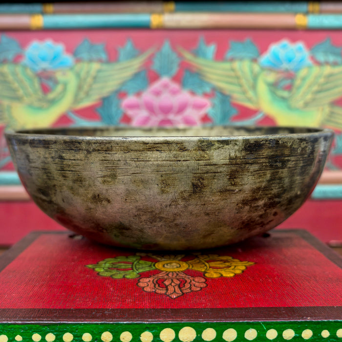 Campana manipuri