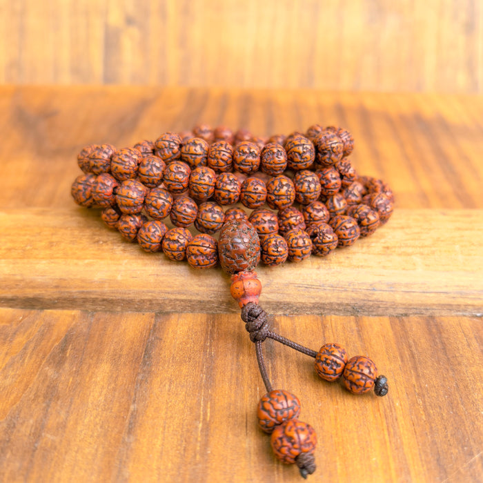 Mala in Rudraksha