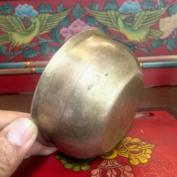 Campana Manipuri newari