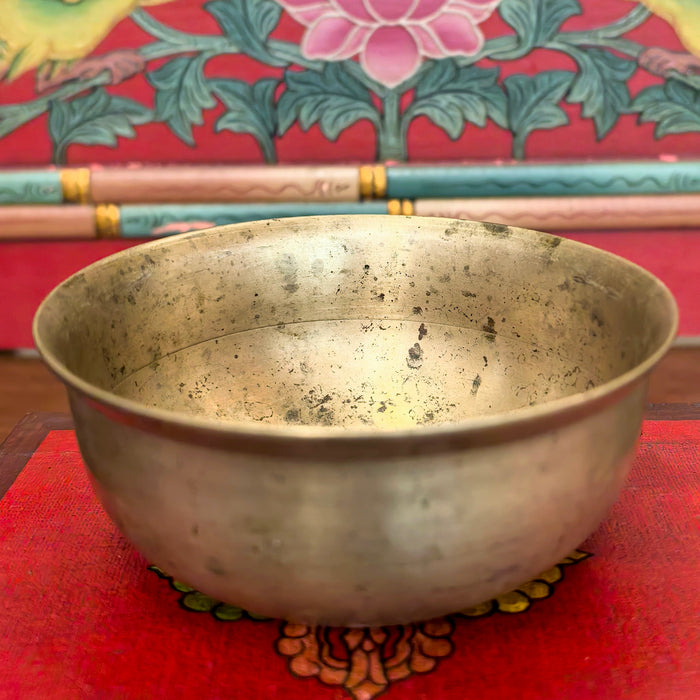 Campana Manipuri newari