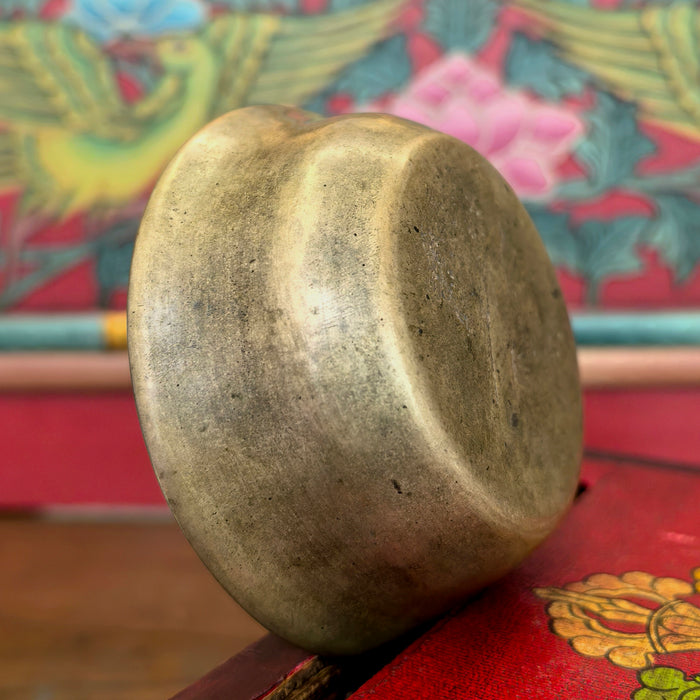 Campana Manipuri newari