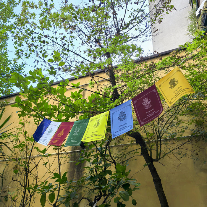 Bandiere 8 Simboli di buon Auspicio