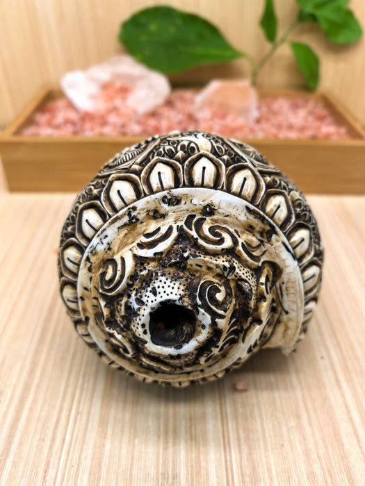Conchiglia tibetana naturale con cinque Ganesha incisi a mano – 22 cm