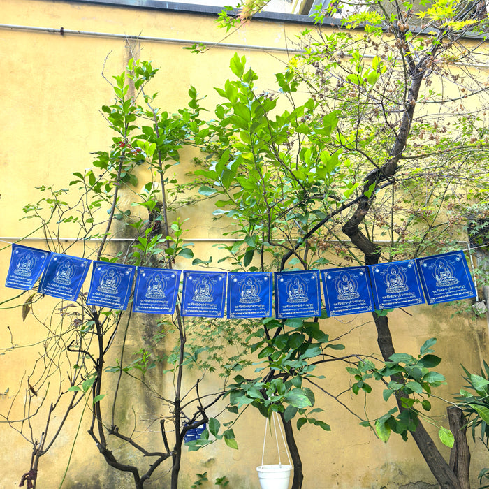 Bandiere di preghiere Buddha della medicina