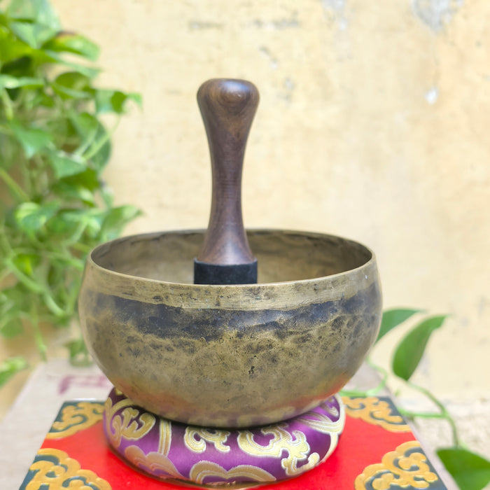 Campana Tibetana Antica coprepati