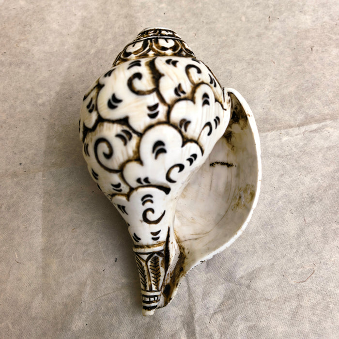 Conchiglia raffigurante di Shiva