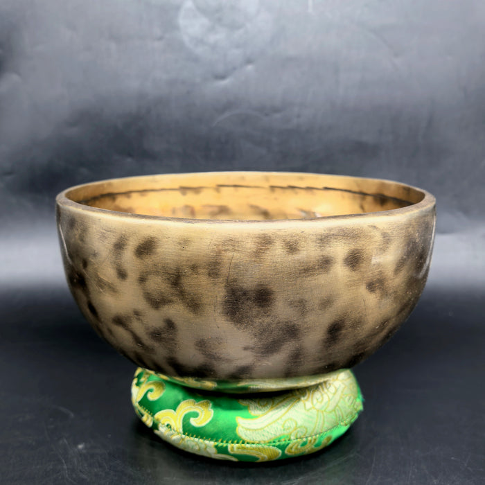 Campana Lingam