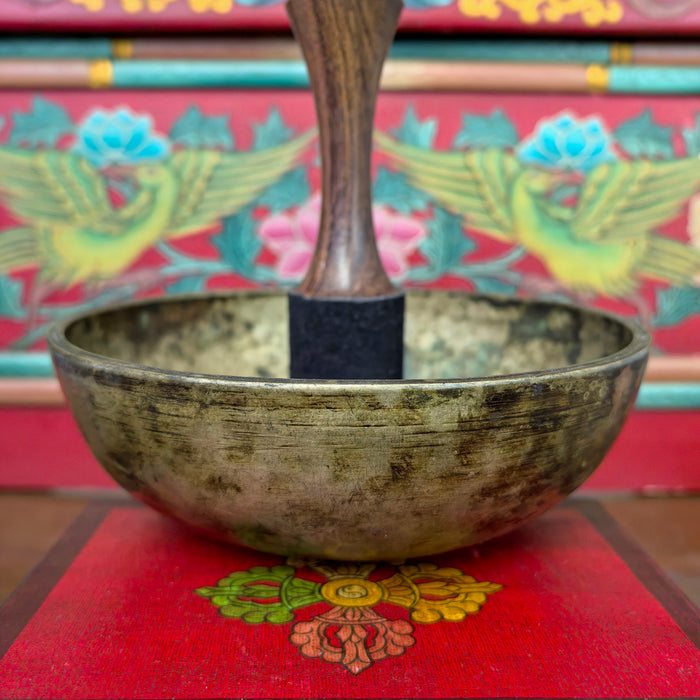 Campana manipuri