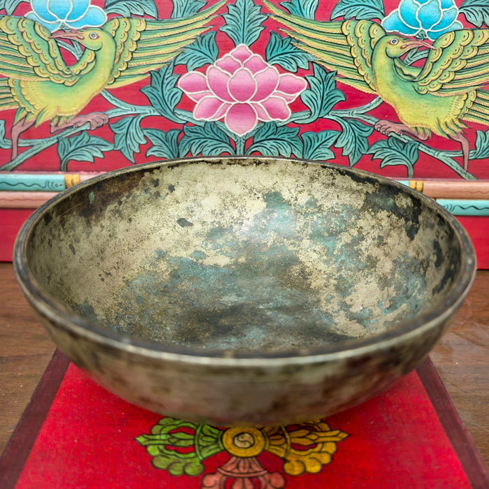 Campana manipuri