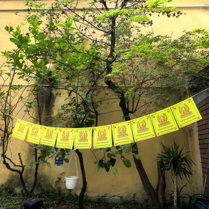 Bandiere di preghiere Buddha