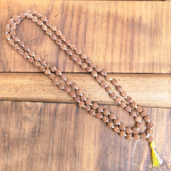 Mala in Rudraksha