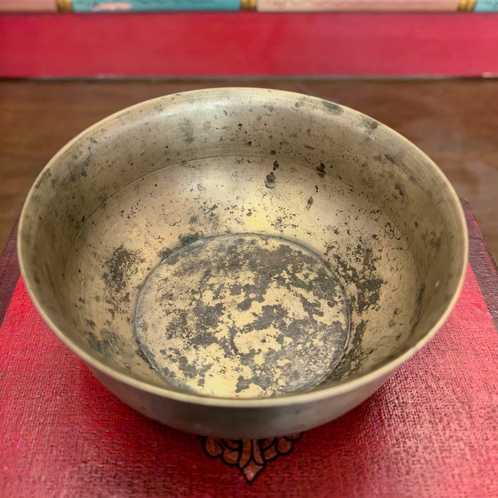 Campana Manipuri newari