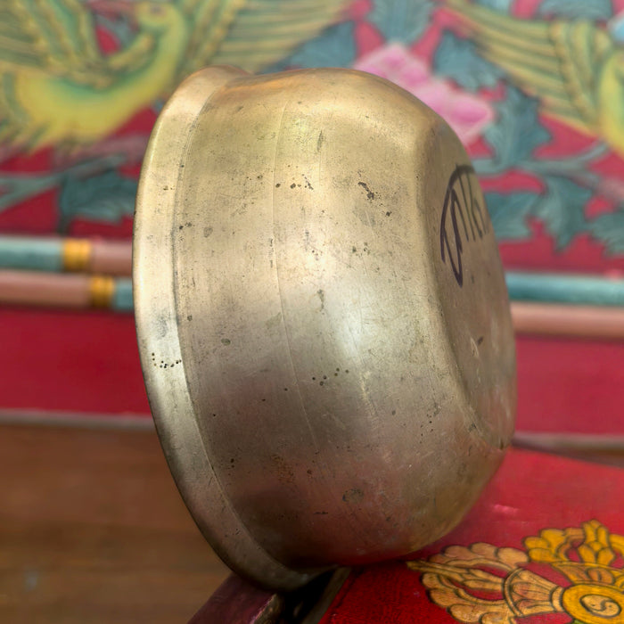 Campana Manipuri newari