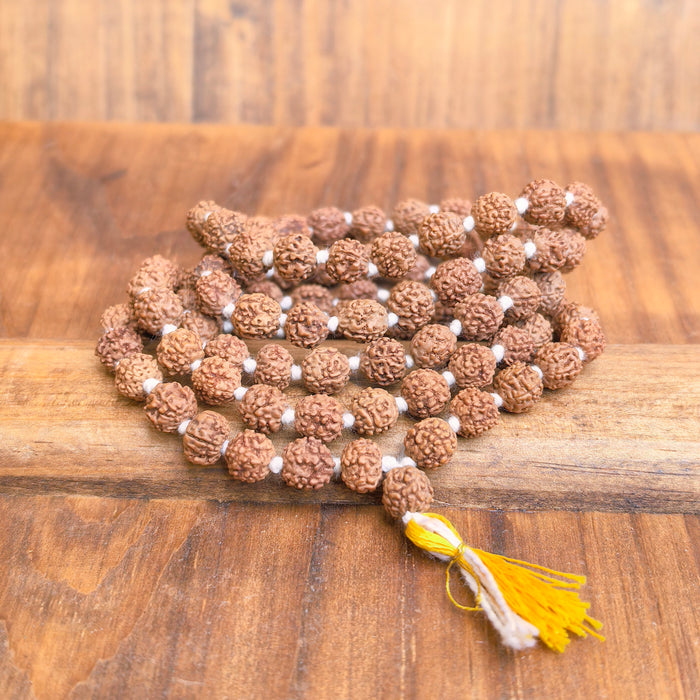 Mala in Rudraksha