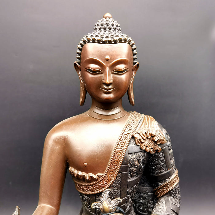 Buddha Della Medicina in Bronzo (6606967505060)